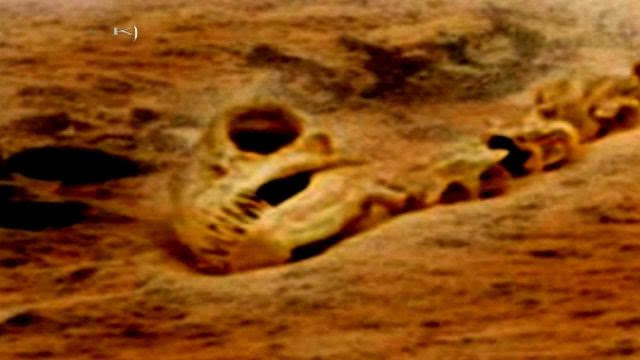 Dragon skeleton discovered on Mars, and also on the ground in the Iranian desert!