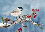 Chickadee Red Berries - Posted on Sunday, February 15, 2015 by Cynthia Van Horne Ehrlich