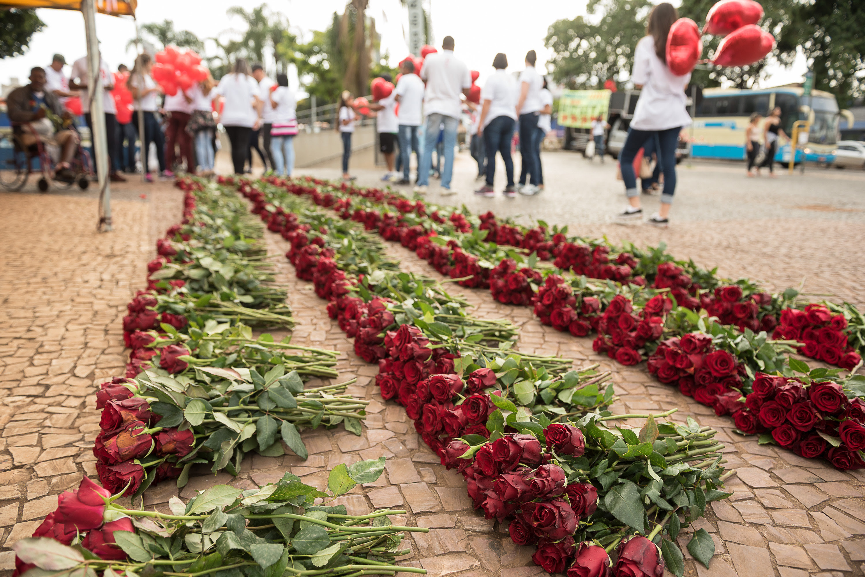 Taguatinga Shopping celebra fim do ano com ação Mais Amor Taguatinga Shopping celebra fim do ano com ação Mais Amor