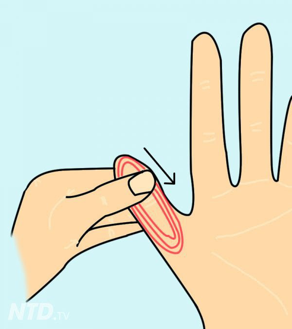 Chỉ cần ấn vào điểm này trên tay 1 phút, bạn sẽ cảm nhận rất nhiều điều kỳ diệu xảy ra với cơ thể - Ảnh 3. Chỉ cần ấn vào điểm này trên tay 1 phút, bạn sẽ cảm nhận rất nhiều điều kỳ diệu xảy ra với cơ thể - Ảnh 3.