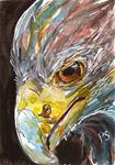 ACEO Eagle Eye Head Shot Bird Beak Illustration Art WC Painting Penny StewArt - Posted on Wednesday, April 15, 2015 by Penny Lee StewArt