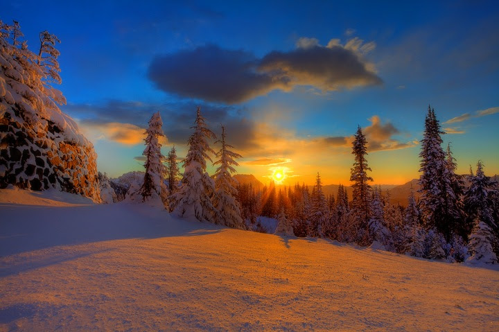 winter landscape 2014