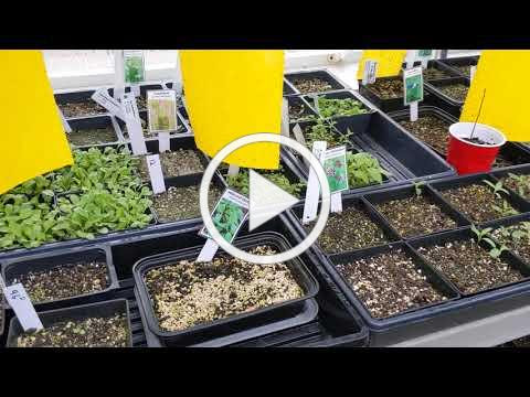 April Greenhouse Tour
