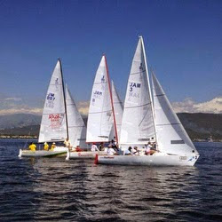 J/22 Jamin Jamaica sailing regatta