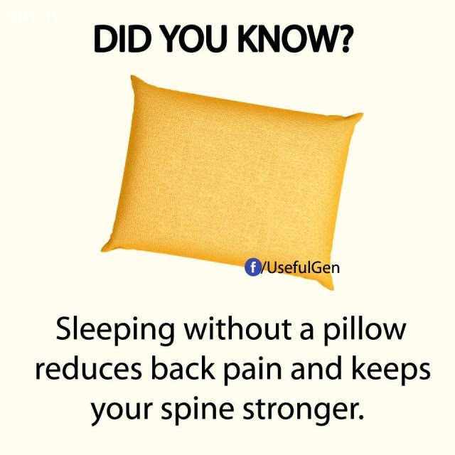 4. Ngủ không nằm gối sẽ làm giảm đau lưng và giữ cho cột sống của bạn khỏe mạnh hơn.,sự thật thú vị,sự thật đáng kinh ngạc,những điều thú vị trong cuộc sống,có thể bạn chưa biết