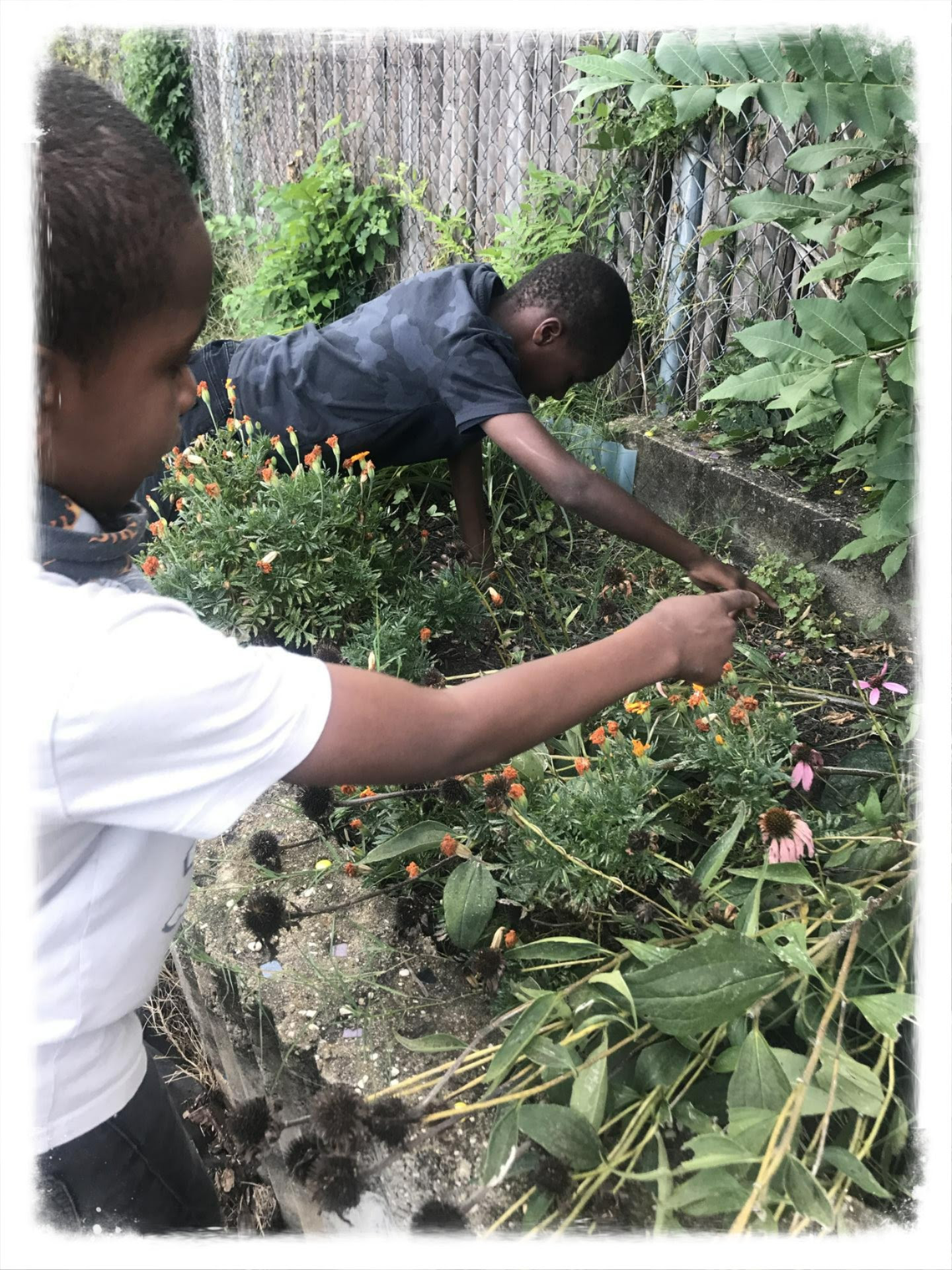 Youth are pointing out what they see growing in the garden. Flowers are most prominent in this photo.