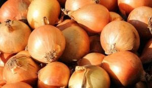 UK: Over 100,000 pounds of onions destroyed after Muslim migrants discovered hiding in delivery trucks