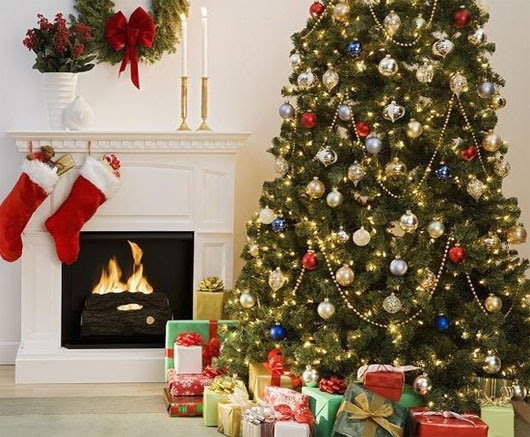 Hình ảnh ngày 24/12 còn gắn liền với sự ra đời của cây thông Giáng sinh.