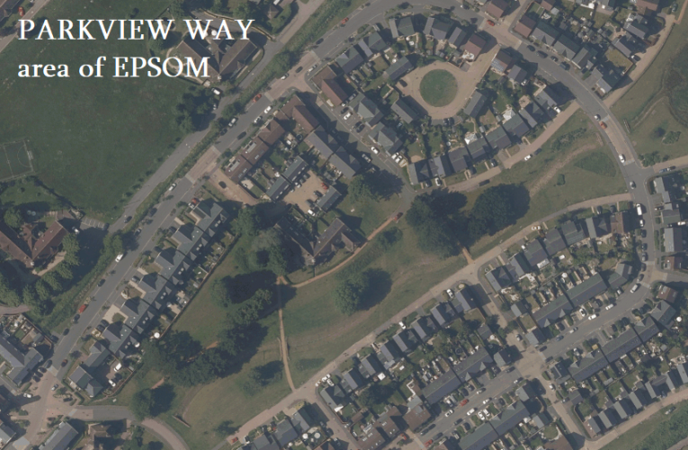 Witness appeal: sex assault Epsom 13th June