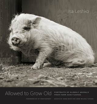 Allowed to Grow Old: Portraits of Elderly Animals from Farm Sanctuaries in Kindle/PDF/EPUB