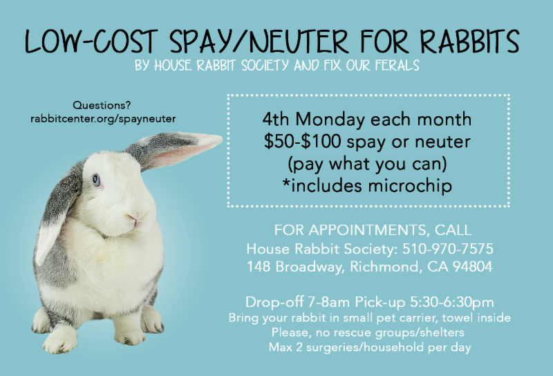 Rabbit neutering near sales me