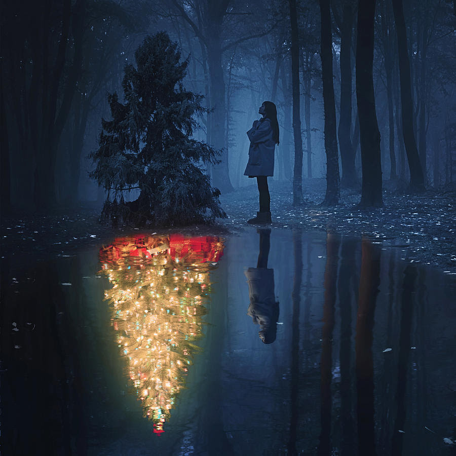 Christmas Photograph - The Hope Of Christmas by Terry F
