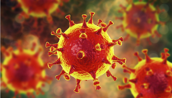 Good News: Even A Mild COVID Infection Develops Antibody Protection That Could Last A Lifetime Image-1564