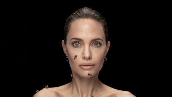 Angelina Jolie portrait among stunning Siena International Photo Award winners
