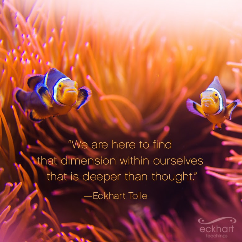 "We are here to find that dimension within ourselves that is deeper than thought."