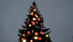 France: Muslim screaming ‘Allahu akbar’ cuts down town’s Christmas tree