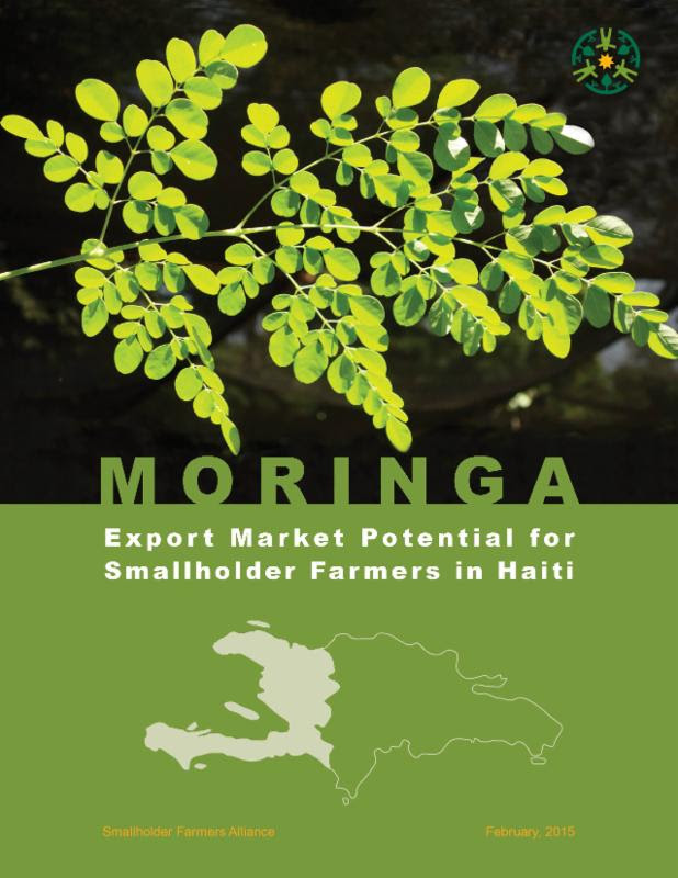 Moringa: Export Market Potential for Smallholder Farmers in Haiti