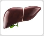 Study examines risk of using liver organs from hepatitis C positive donors