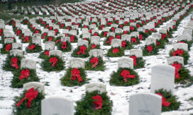 A Navy SEAL Remembered and Honored from Stem to Stone