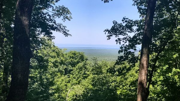 A scene of green trees an a distant water view from the 73,000-acre Michigamme Highlands project, a proposed conservation easement. 