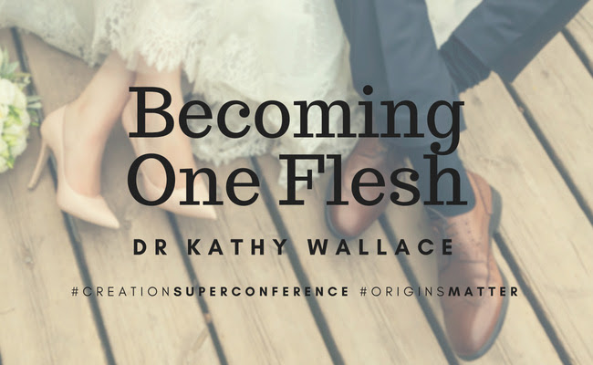 CREATION.com | Becoming one flesh