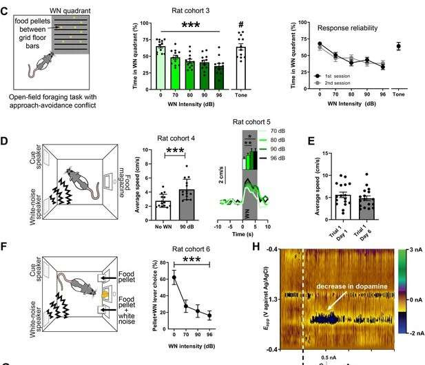 What happens to the dopamine system when we experience aversive events?