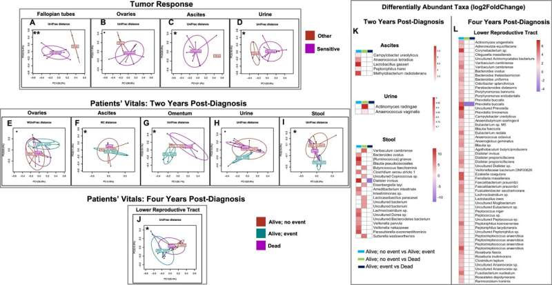 Researchers link ovarian cancer to bacteria colonization in microbiome