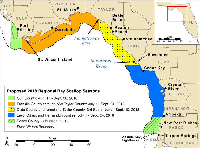 Florida FWC approves regional bay scallop seasons for 2018 with some