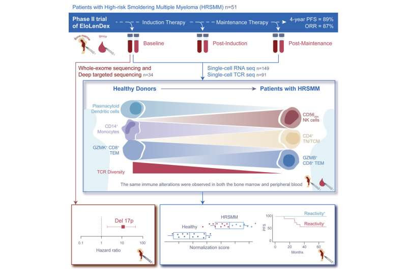 Study shows that immune system holds clues to patients with high-risk smoldering myeloma likely to benefit from treatment