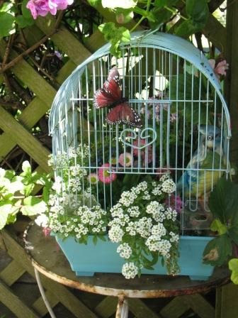 Flowers in a birdcage.