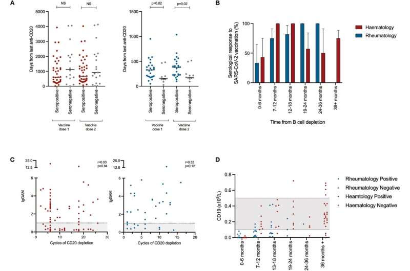 Blood cancer and arthritis patients taking Rituximab show impaired antibody response to COVID vaccine