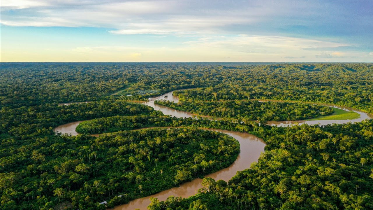 Amazonas al límite, 10 amenazas que demuestran que corre un grave peligro 