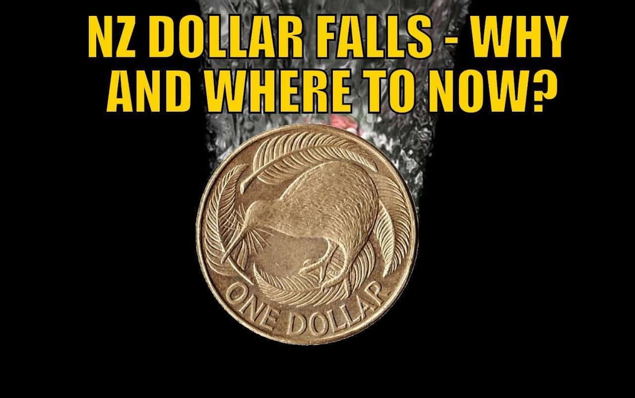 NZ Dollar Falls - Why is the NZ Dollar Weaker and Where to Now?