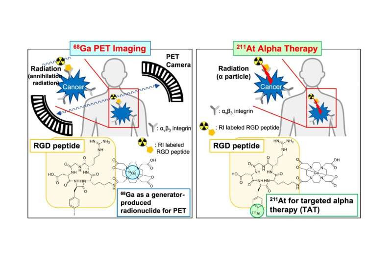 Radiometals and radiohalogens: A potential new combination for cancer treatment