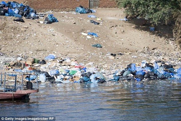 The river systems that carry the most waste into the ocean include the Amur, Ganges, Hai, Indus, Mekong, Pearl, Yangtze and Yellow Delta in Asia, as well as the Niger and Nile (pictured) in Africa, a research paper has revealed
