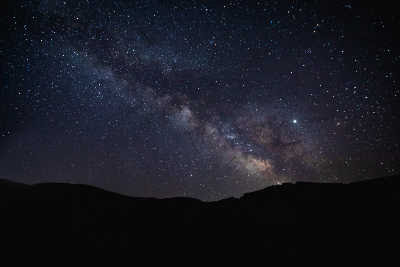 Stargazing at the Garden