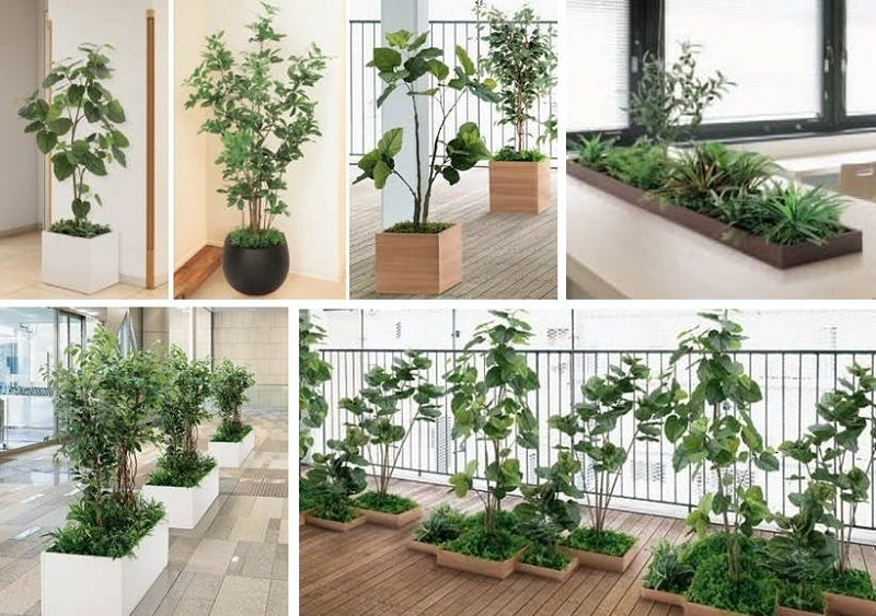 画像:人工観葉植物_イメージ画像1
