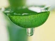 Suco para Gastrite