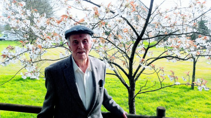 Frank Hurlbutt with Cherry Blossom