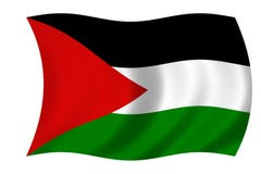 Image result for palestine flag png