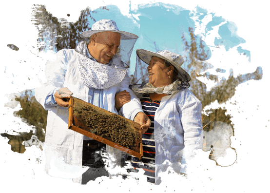 Menligiev is pulling honecomb from beehive