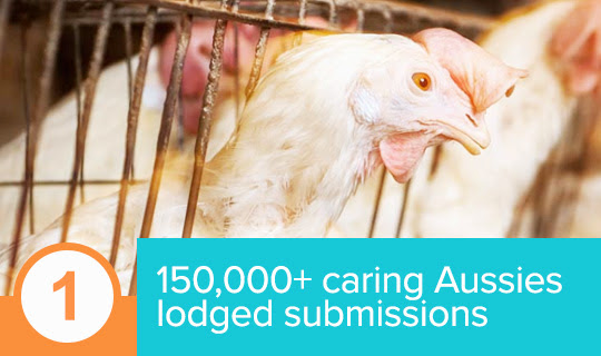 More than 150,000 people penned personal submissions for hens More than 150,000 people penned personal submissions for hens