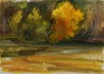 Fall Tree Study - Posted on Sunday, November 9, 2014 by Carol DeMumbrum