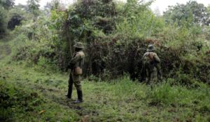 Congo: Muslims murder 29 people in national park and six more in armed jihad attack on village