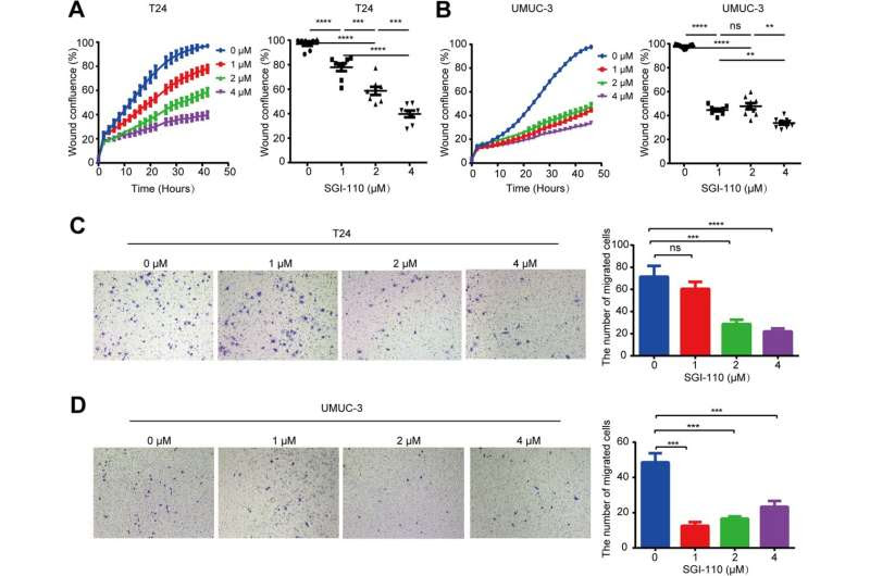 DNA methylation subtype classification can predict outcomes of urothelial carcinoma