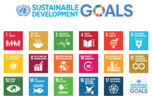 United Nations Global Goals 2015