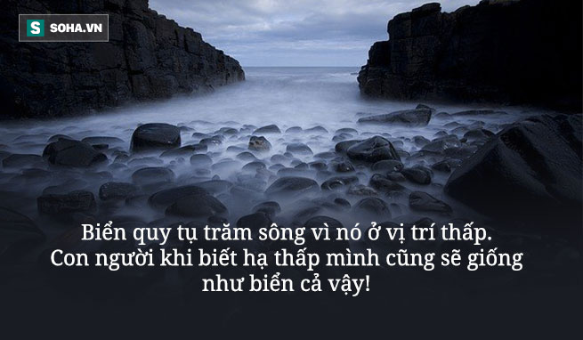 Tìm cách lấy lòng nhà văn nổi tiếng, chủ hiệu sách nói ra 1 câu, ý nghĩa đủ sâu cay để thức tỉnh người ưa nịnh - Ảnh 3. Tìm cách lấy lòng nhà văn nổi tiếng, chủ hiệu sách nói ra 1 câu, ý nghĩa đủ sâu cay để thức tỉnh người ưa nịnh - Ảnh 3.