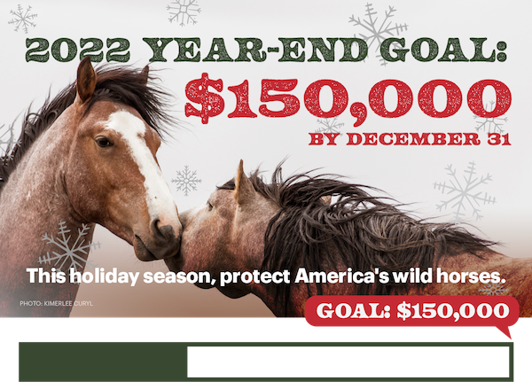 Surrounded by snowflakes, two brown mustangs stand facing the camera. 2022 Year-End Goal: $150,000