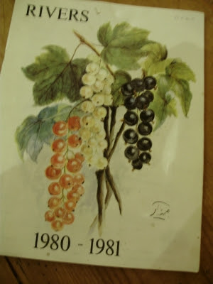 One of the last Thomas Rivers Nursery catalogues