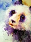 Pansy the Panda - Posted on Wednesday, December 10, 2014 by Arti Chauhan